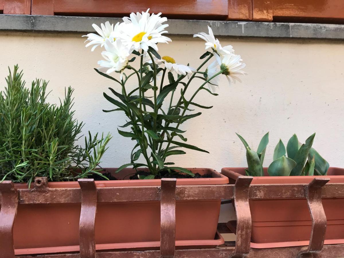 Appartement La Casa Fra Gli Ulivi à Lerici Extérieur photo